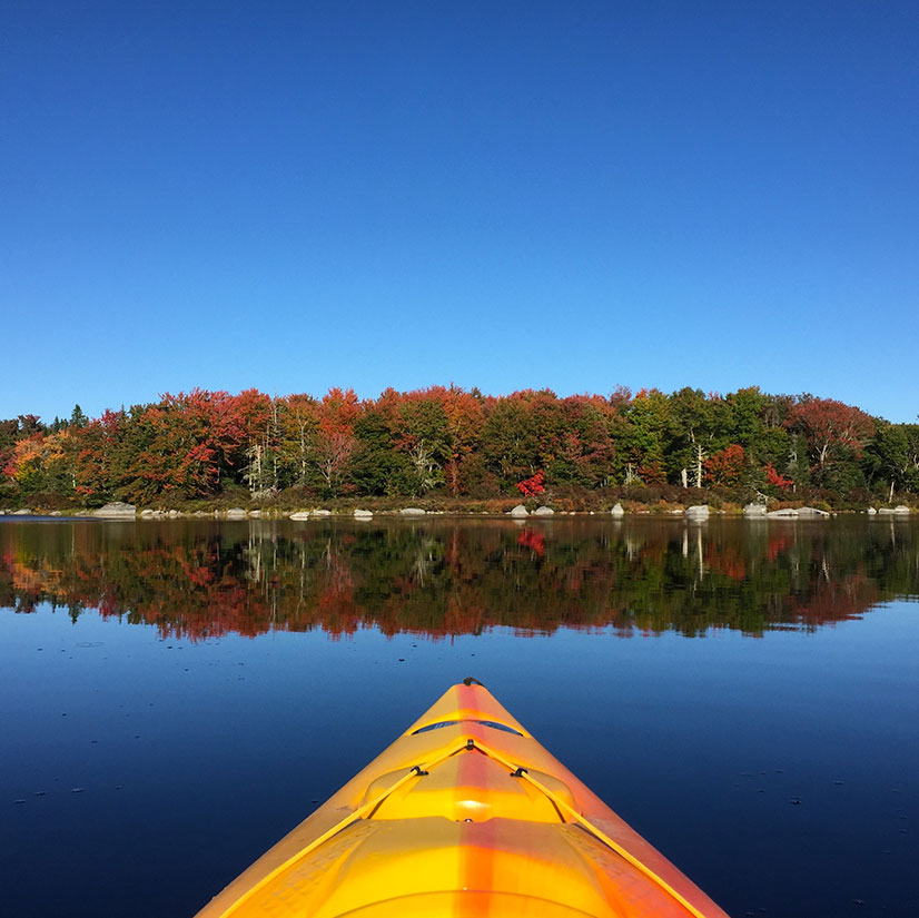 Kayaking along the Tusket river